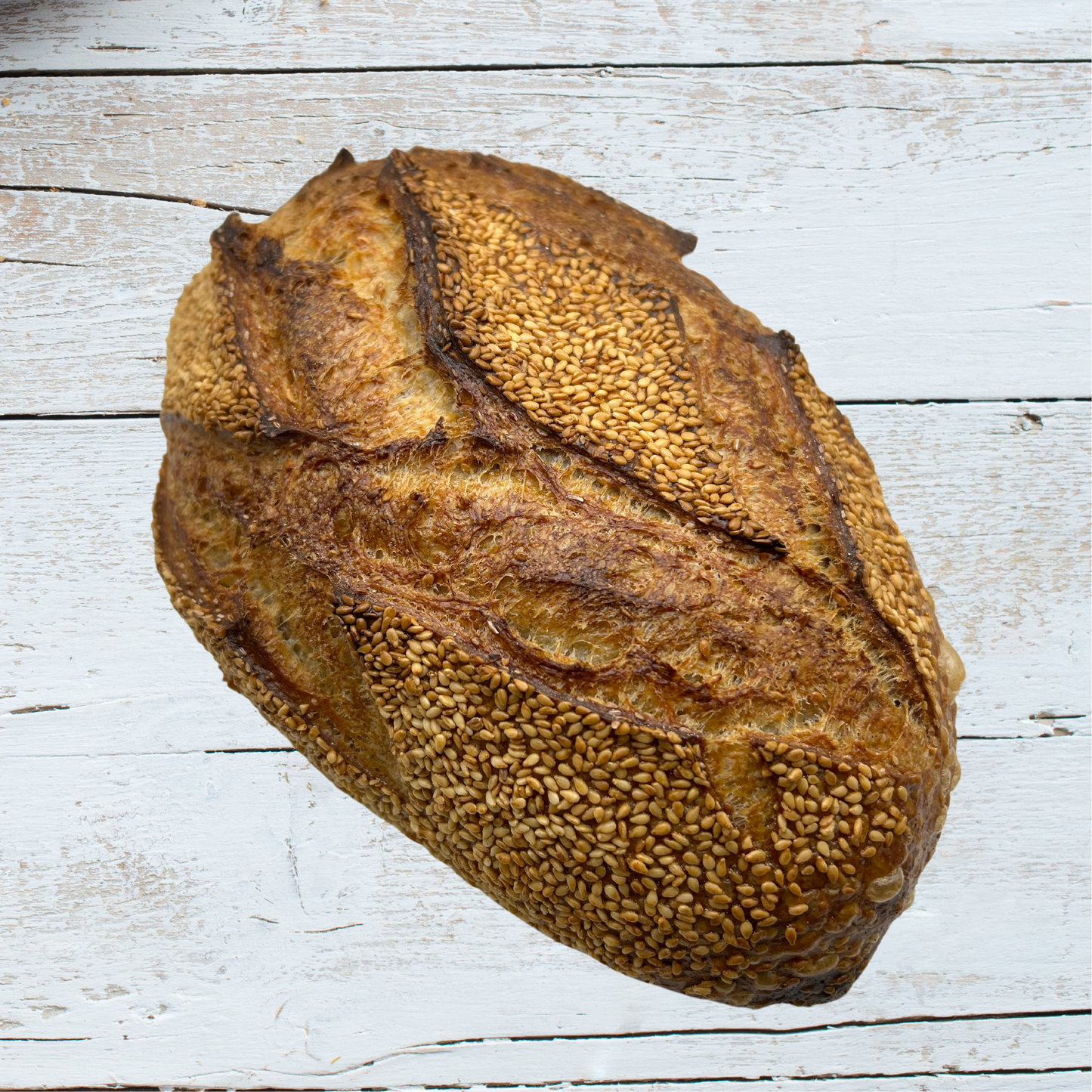 Sesame sourdough bread