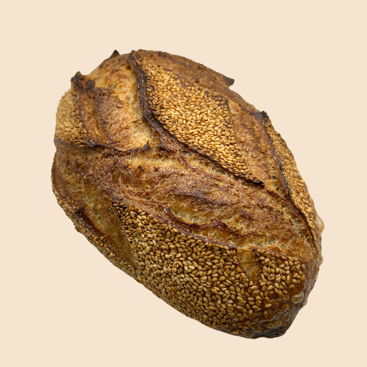 Sesame sourdough bread