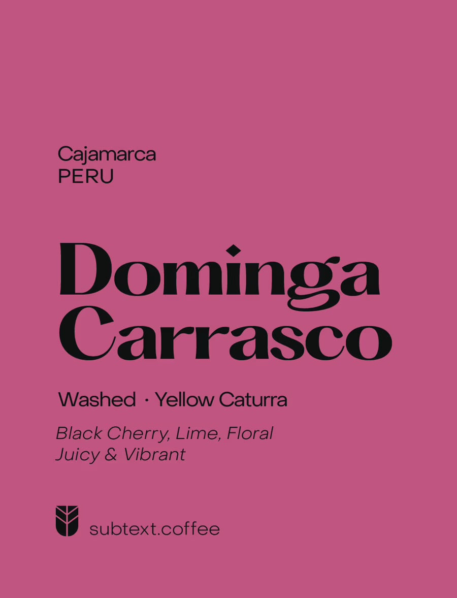 Dominga Carrasco