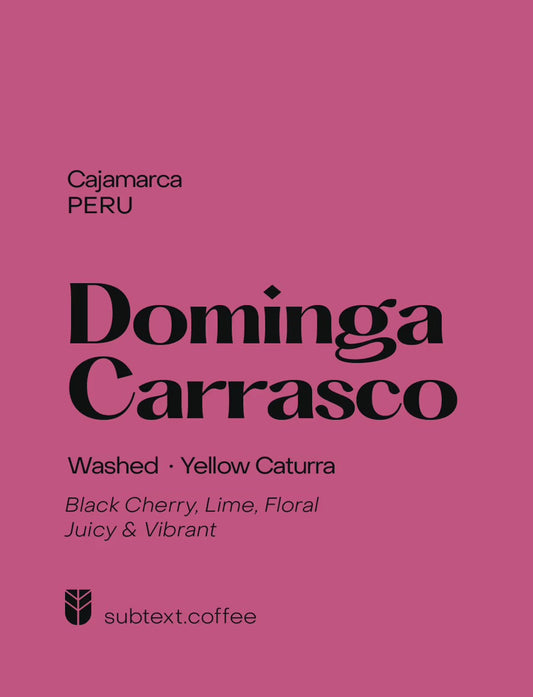 Dominga Carrasco