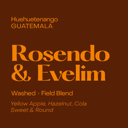 Subtext Coffee Beans