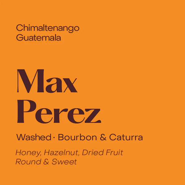 Subtext Coffee Beans