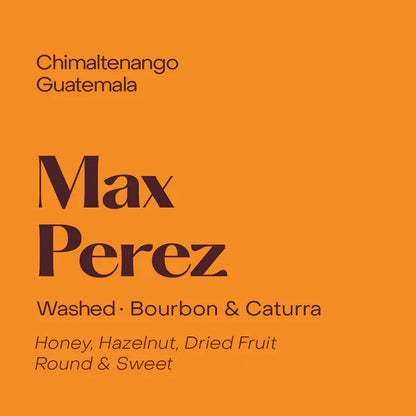 Subtext Coffee Beans