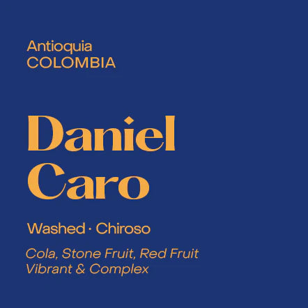 Subtext Coffee Beans