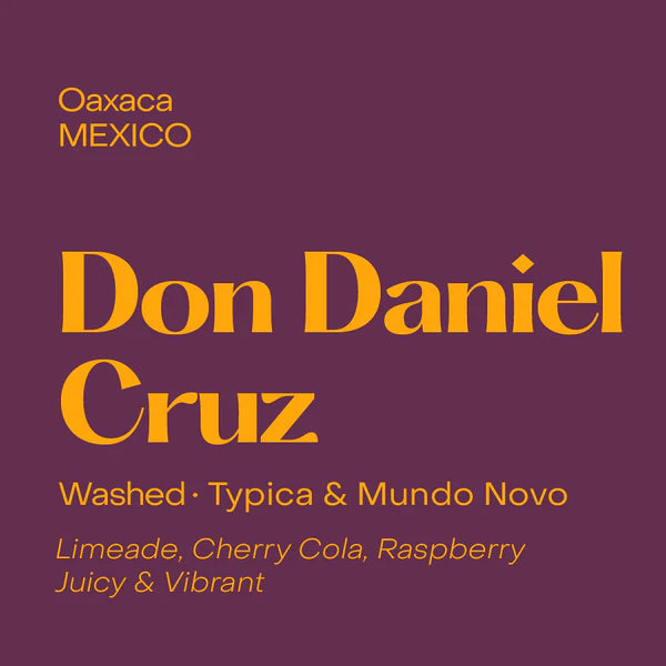 Subtext Coffee Beans