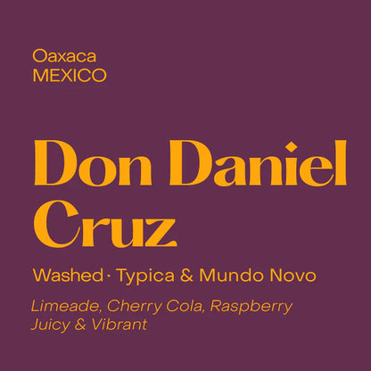 Subtext Coffee Beans