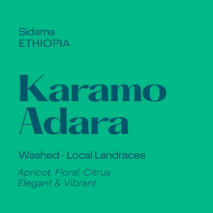 Subtext Coffee Beans