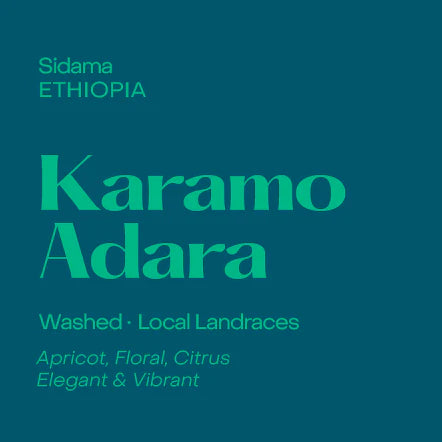 Subtext Coffee Beans