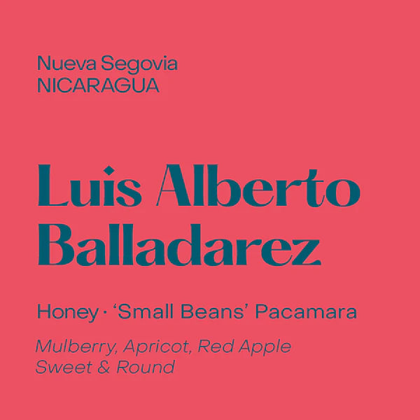 Subtext Coffee Beans