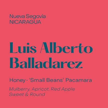 Subtext Coffee Beans