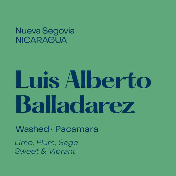 Subtext Coffee Beans