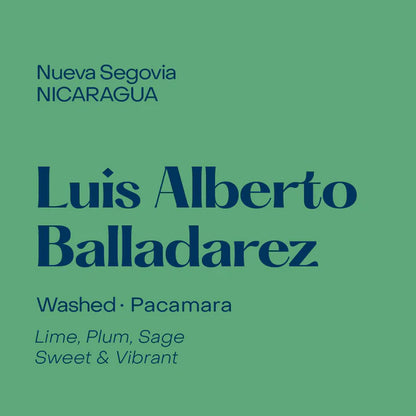 Subtext Coffee Beans