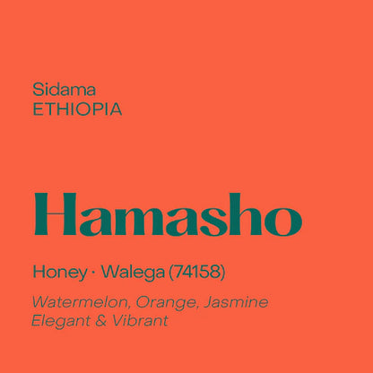 Subtext Coffee Beans