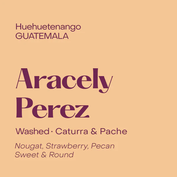 Subtext Coffee Beans