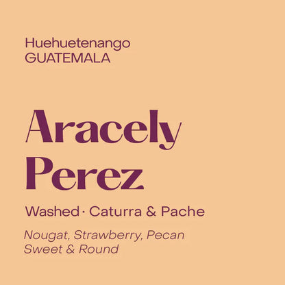 Subtext Coffee Beans